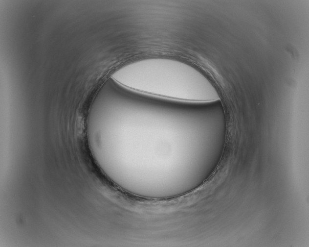 X0000112730025200908201023