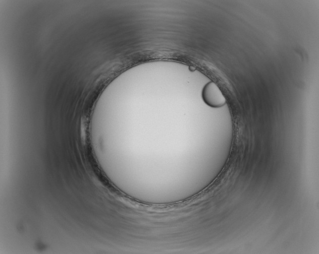 X0000112730026200908201023