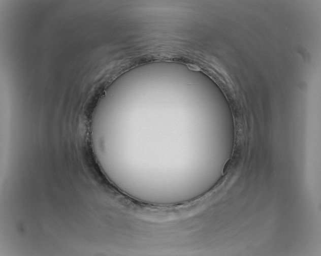 X0000112730029200908201023