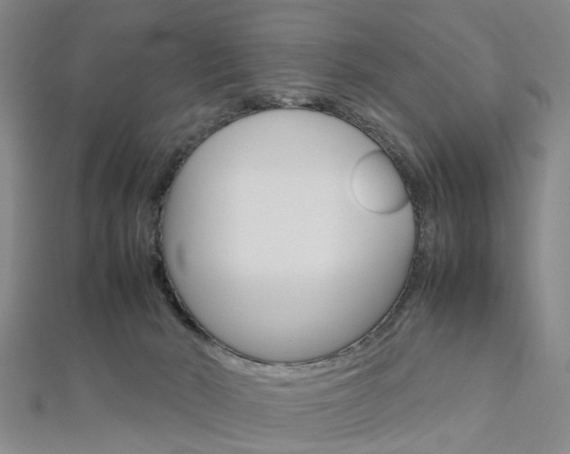 X0000112730030200908201023