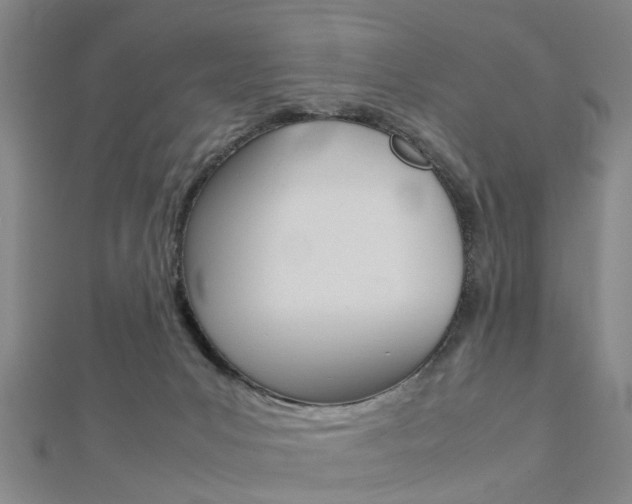 X0000112730031200908201023