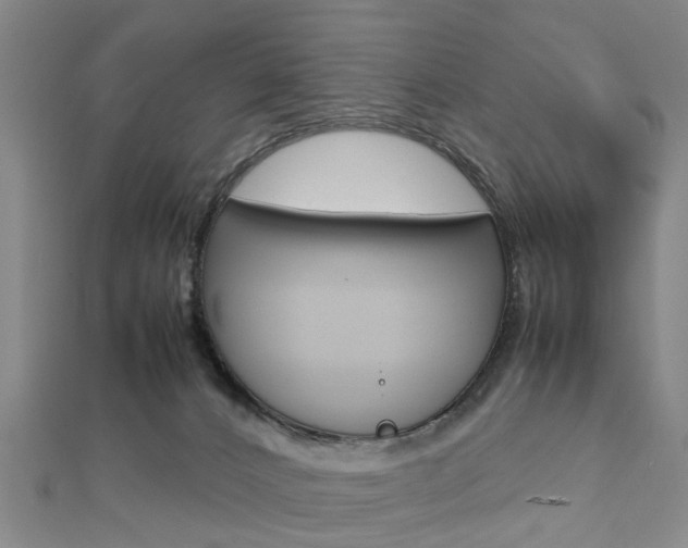 X0000112730032200908201023