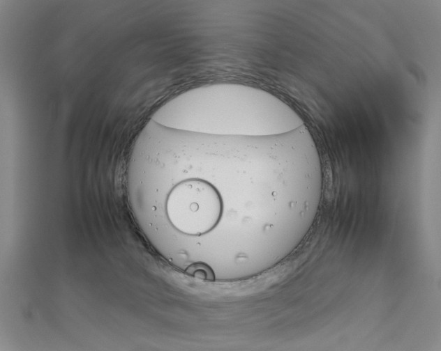 X0000112730034200908201023