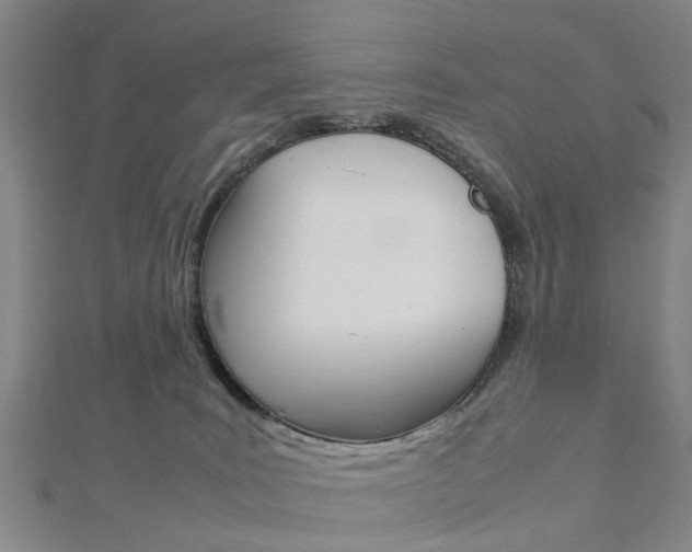 X0000112730035200908201023