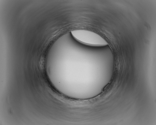 X0000112730036200908201023