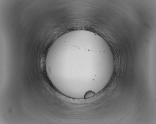 X0000112730038200908201023