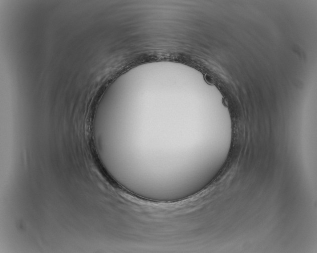 X0000112730039200908201023