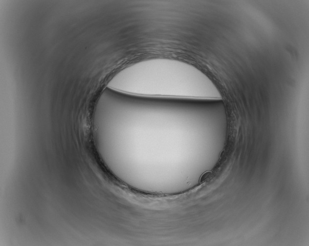 X0000112730040200908201023