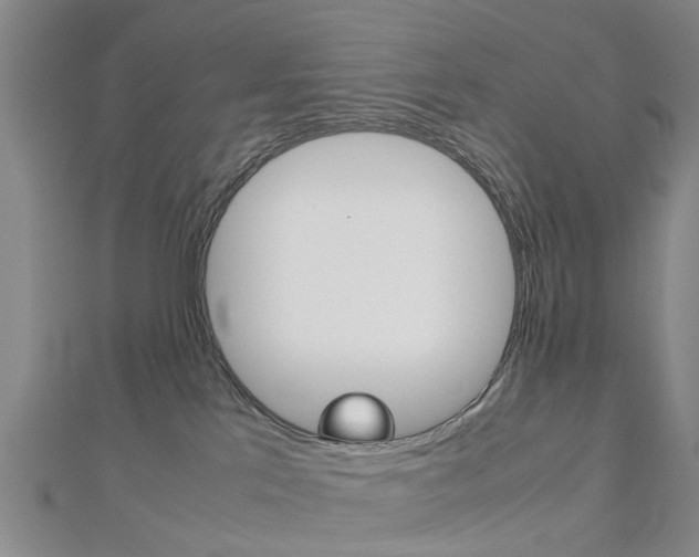 X0000112730041200908201023