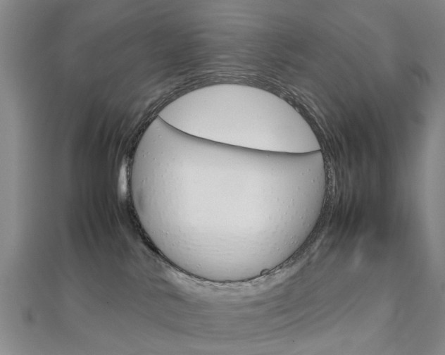 X0000112730042200908201023