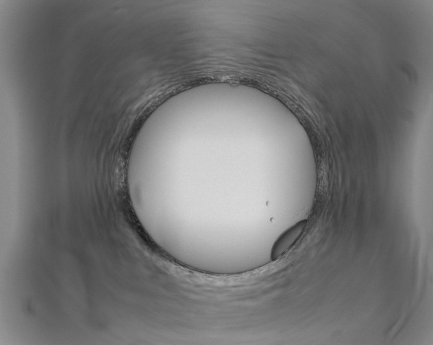 X0000112730043200908201023