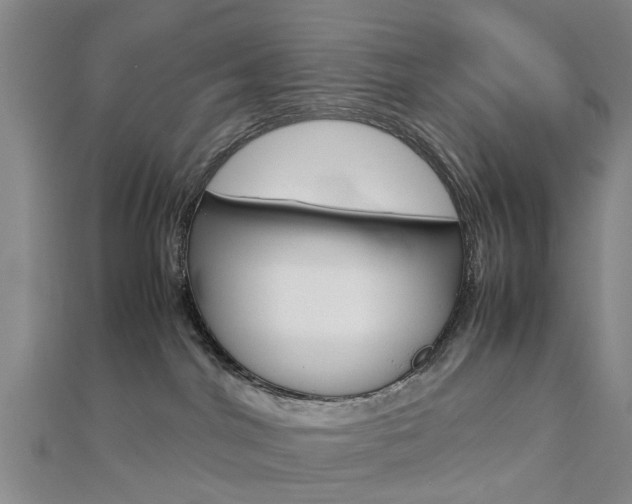 X0000112730044200908201023