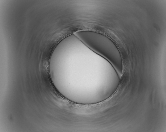 X0000112730045200908201023