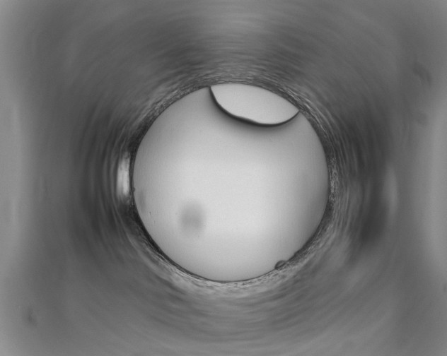 X0000112730046200908201023