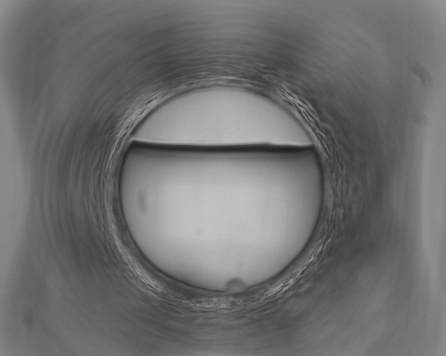 X0000112730049200908201022