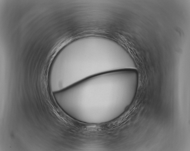 X0000112730050200908201022