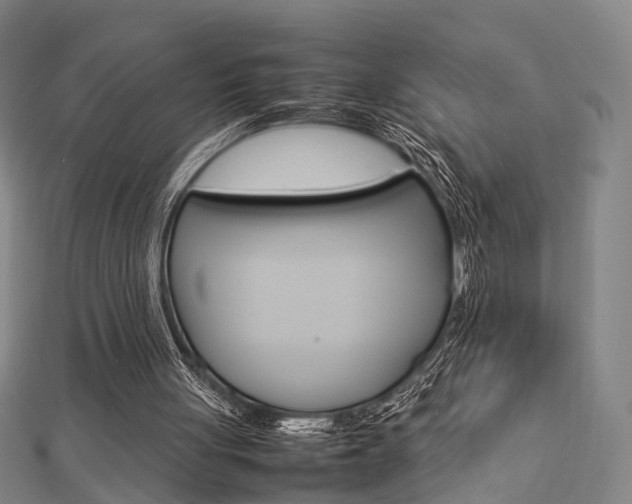 X0000112730051200908201022