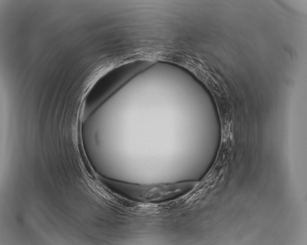 X0000112730052200908201022