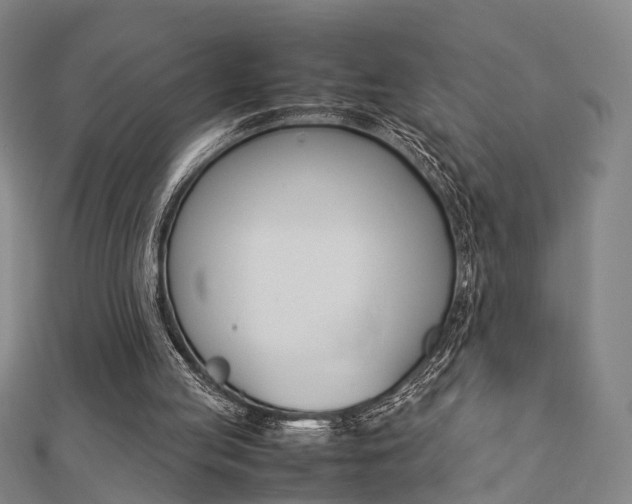 X0000112730053200908201022