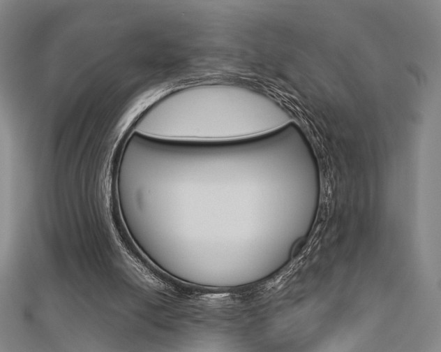 X0000112730054200908201022