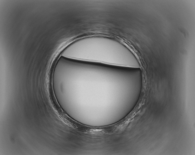 X0000112730055200908201022