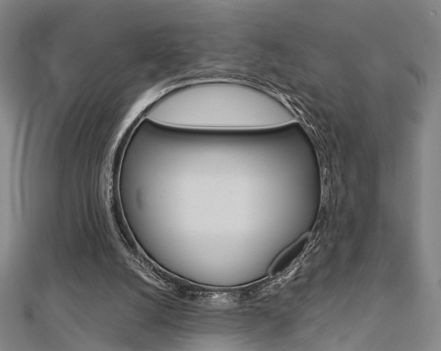 X0000112730056200908201022