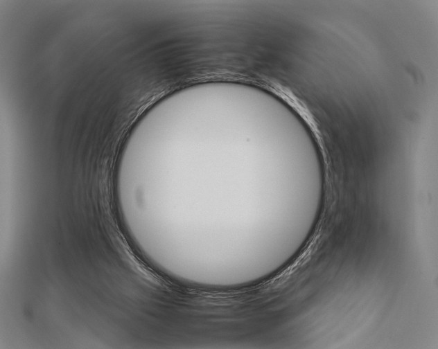 X0000112730057200908201022