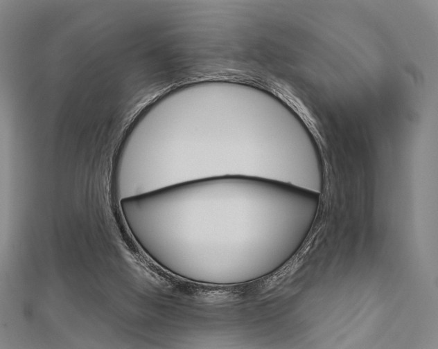 X0000112730058200908201022