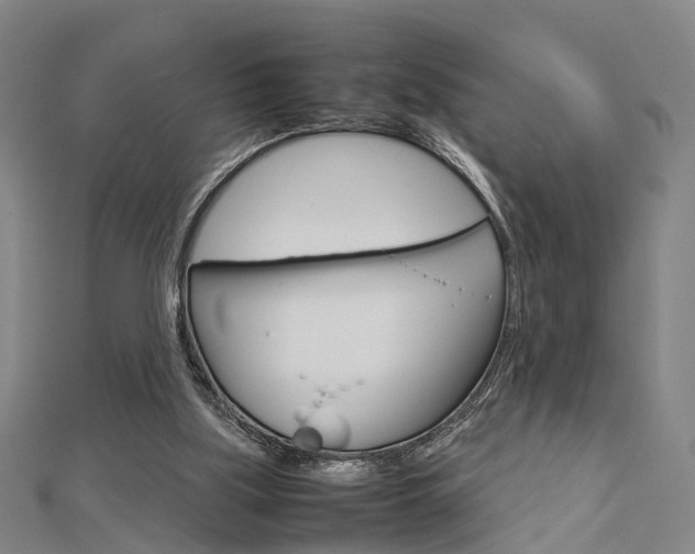 X0000112730059200908201022