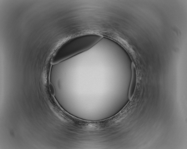 X0000112730060200908201022