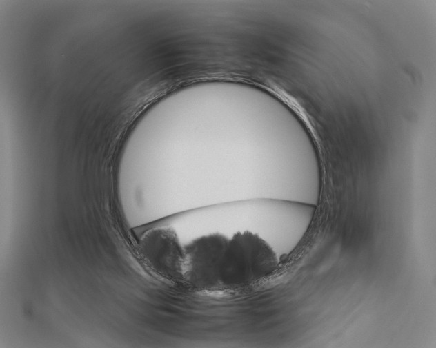 X0000112730061200908201022