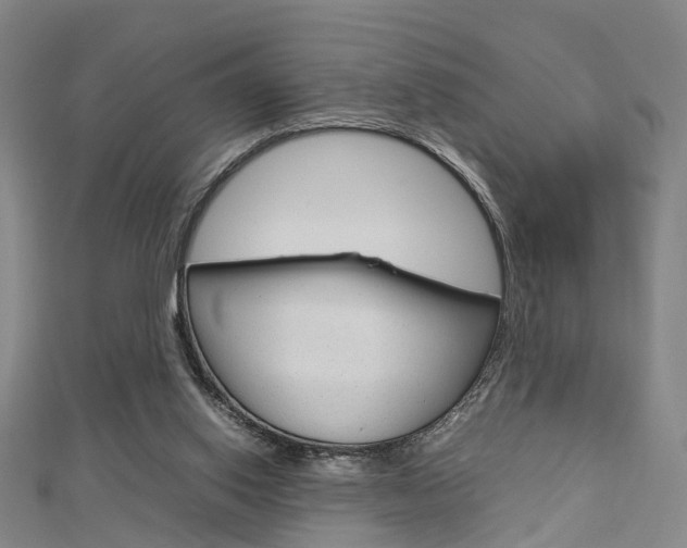 X0000112730062200908201022