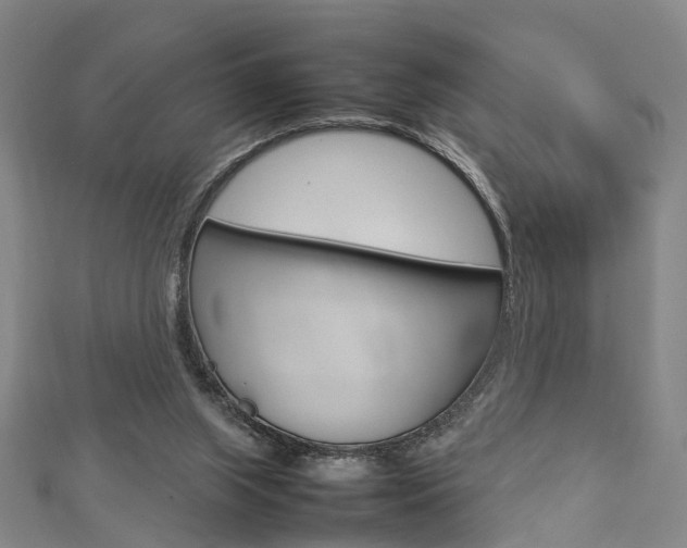 X0000112730063200908201022