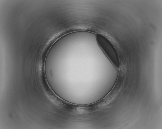 X0000112730064200908201022