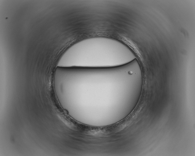 X0000112730065200908201022