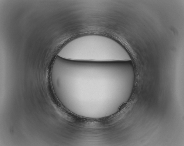 X0000112730066200908201022