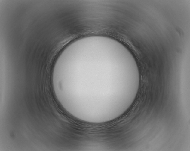 X0000112730068200908201022