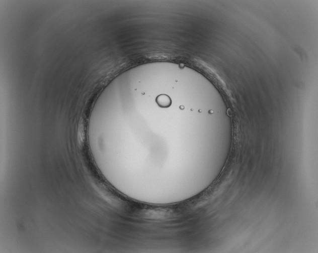 X0000112730069200908201022