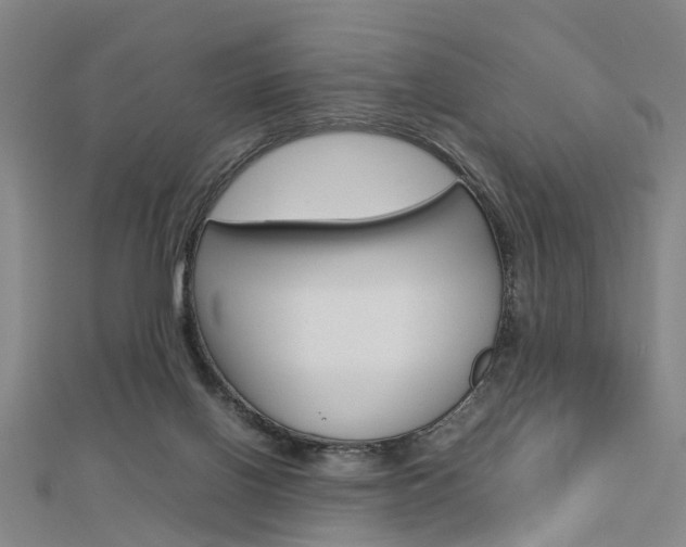 X0000112730070200908201022