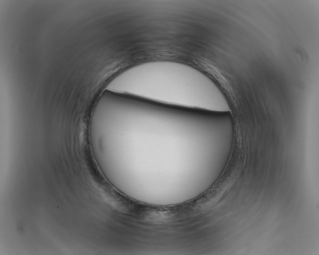 X0000112730071200908201022