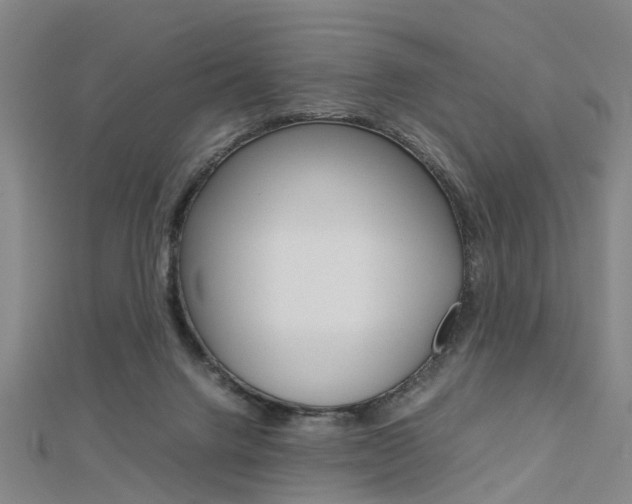 X0000112730072200908201022