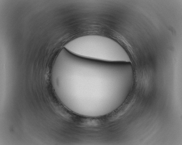 X0000112730073200908201022