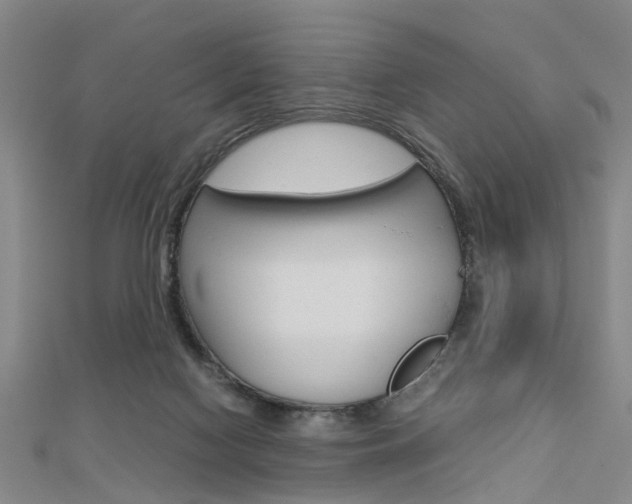 X0000112730074200908201022