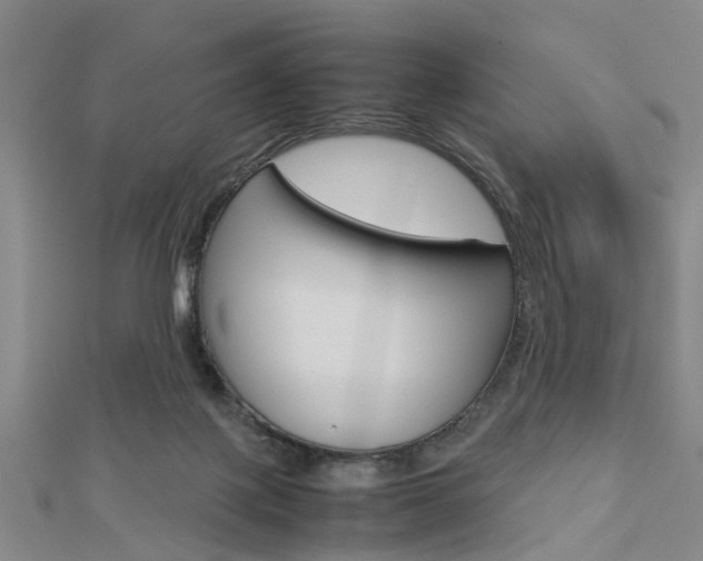 X0000112730075200908201022