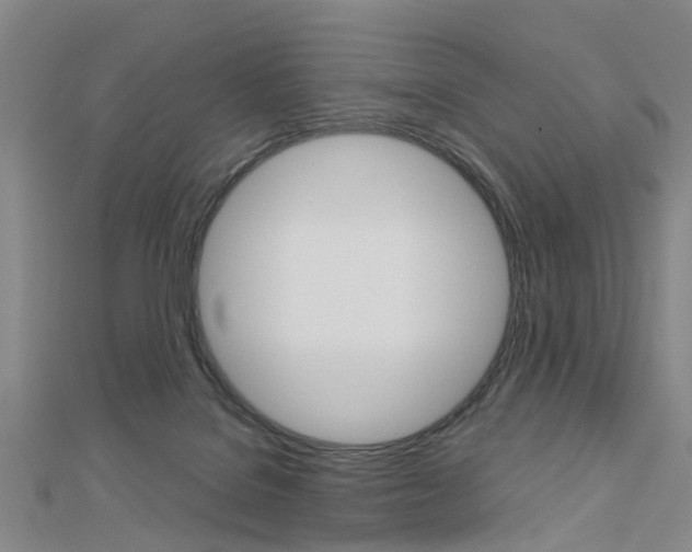 X0000112730076200908201022