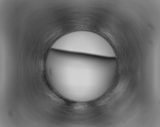 X0000112730077200908201022