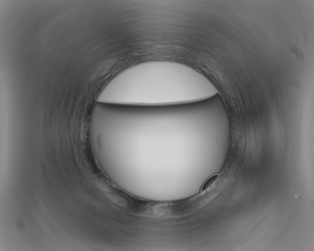 X0000112730078200908201022