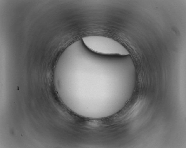 X0000112730079200908201022