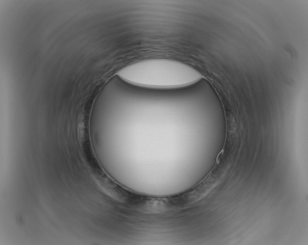 X0000112730080200908201022