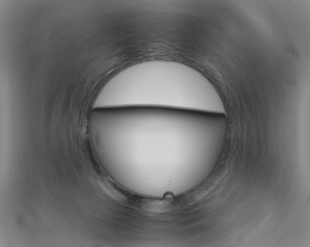 X0000112730081200908201022